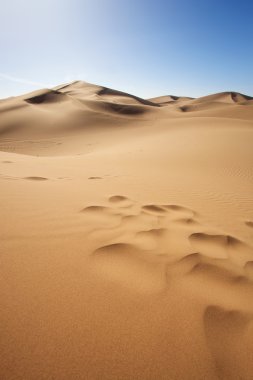 Sahara desert clipart