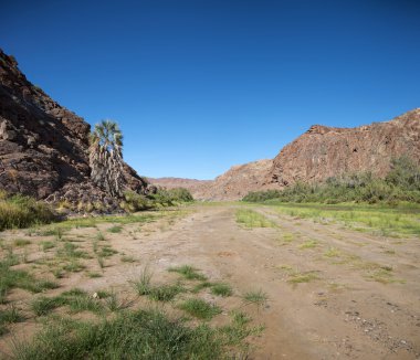 Kaokoland game reserve in Namibia clipart