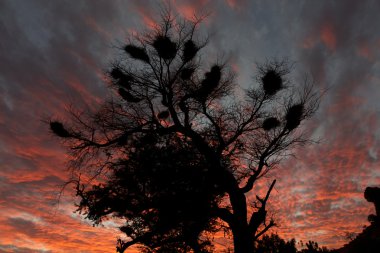 Sunset bandiagara uçurumda