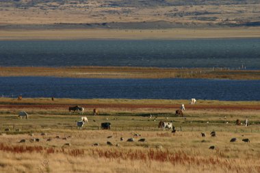 Patagonya'da manzara