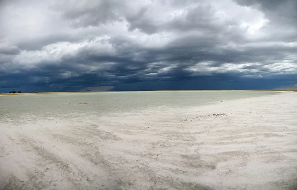 Stock image Etosha Park