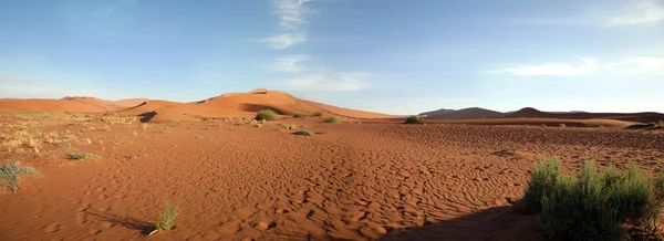 Sossusvlei dunes — Stock Photo, Image