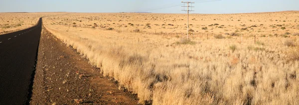 Felder im Norden Südafrikas — Stockfoto
