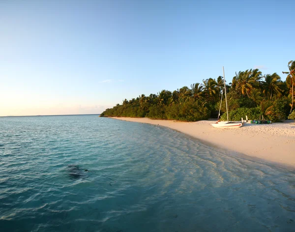 Isola delle Maldive — Foto Stock