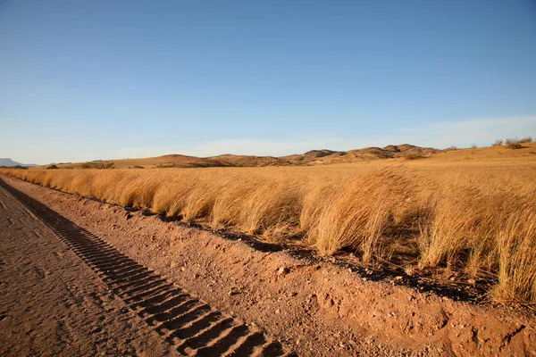 Следы шин в Намибии — стоковое фото
