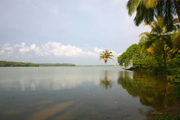 Canaux dans les eaux arrières au Kerala — Photo