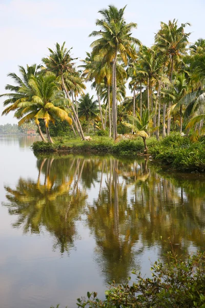 Voltar Águas em Kerala — Fotografia de Stock