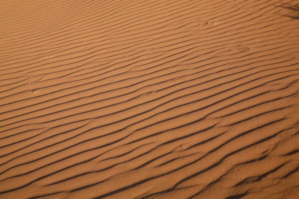Woestijn golven — Stockfoto