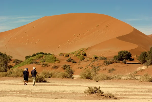 Wüste von sossusvlei in Namibia — Stockfoto