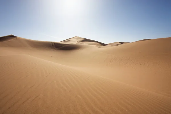 Величний dune краєвид — стокове фото