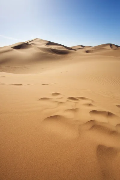 サハラ砂漠 — ストック写真