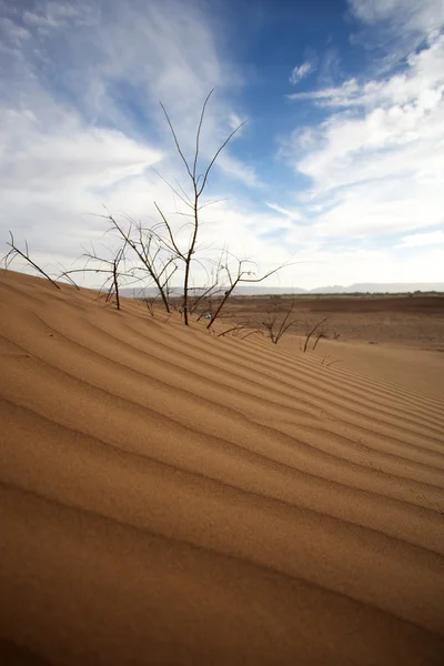 雄大な砂丘の風景 — ストック写真