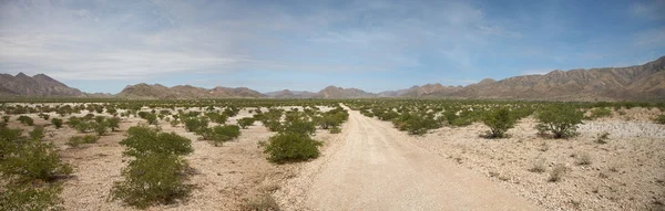 Kaokoland woestijn weg — Stockfoto