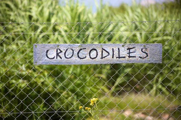 Krokodýli vývěsní štít — Stock fotografie