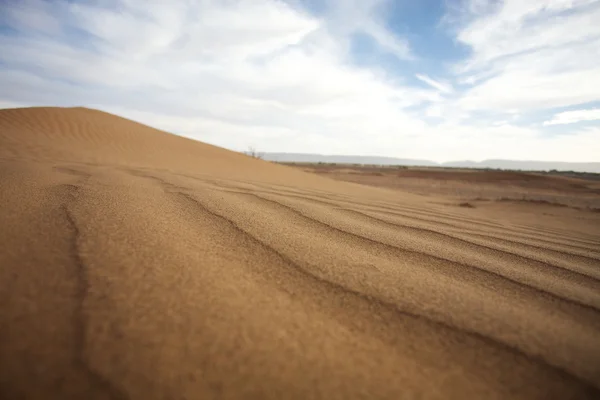 Çöl sahra — Stok fotoğraf