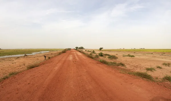 Landweg in mali — Stockfoto