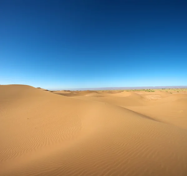 stock image Majestic dune landscape