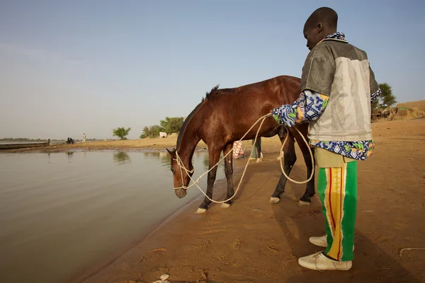 Un homme et son cheval — Photo