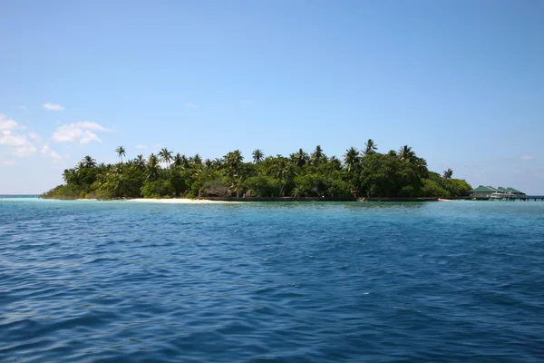 Maldives island — Stock Photo, Image