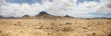 Surreal panorama of the Kaokoland game reserve in Namibia clipart