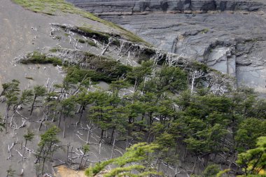 Torres Del Paine.