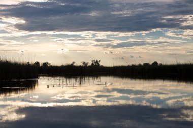 Botswana 'daki Okavango Deltası
