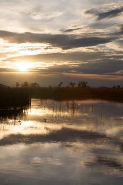 Botswana 'daki Okavango Deltası