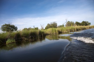 Okavango Deltası