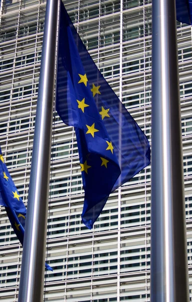 Brüsszeli európai zászló — Stock Fotó