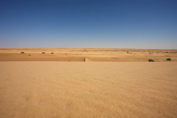 Deserto na Mauritânia — Fotografia de Stock