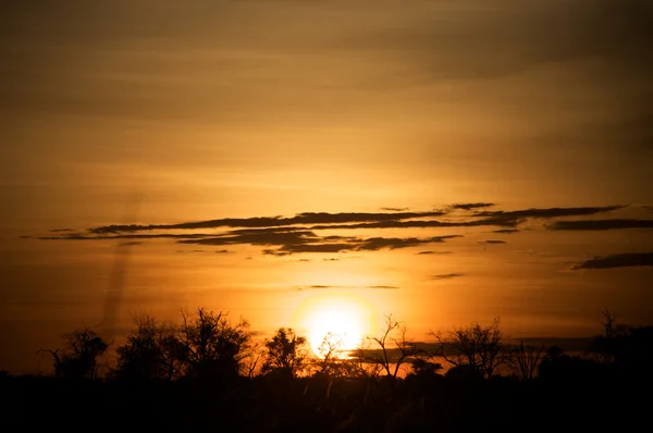 Zonsondergang op de okavango-delta — Stockfoto