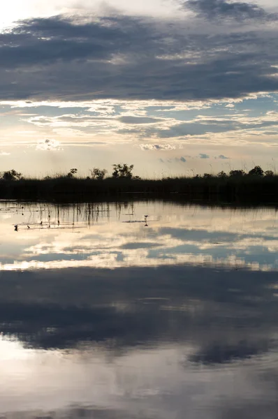 Delta Okavango w Botswanie — Zdjęcie stockowe