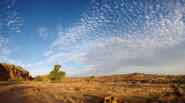 Cliff dogon arazi bandiagara — Stok fotoğraf