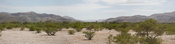 Panorama över kaokoland öknen — Stockfoto