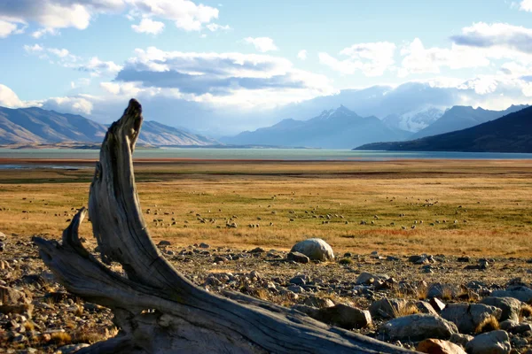 Paisaje en patagonia — Foto de Stock
