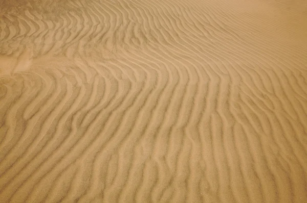 Woestijn golven — Stockfoto