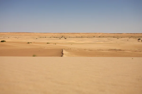 Пустыня Мавритании — стоковое фото