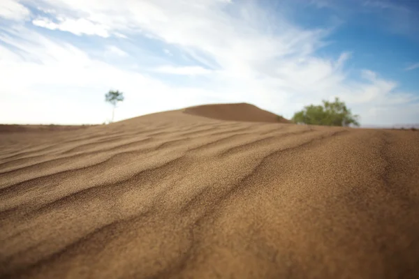 Çöl sahra — Stok fotoğraf