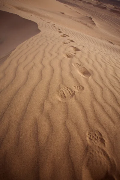 雄大な砂丘の風景 — ストック写真