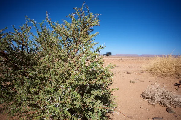 Dziki krajobraz w Maroko — Zdjęcie stockowe