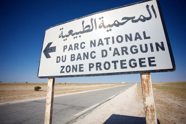 Vägen till Banc d'Arguin nationalpark Djurlivet — Stockfoto
