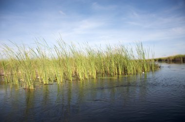 Okavango Deltası