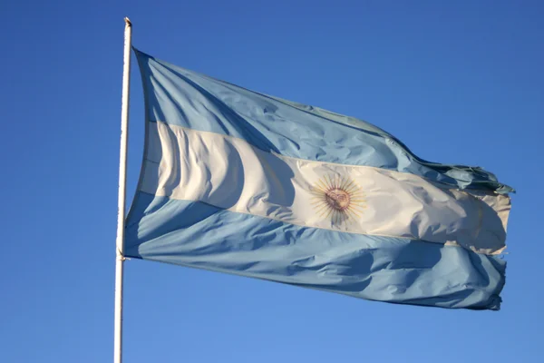アルゼンチンの国旗 — ストック写真