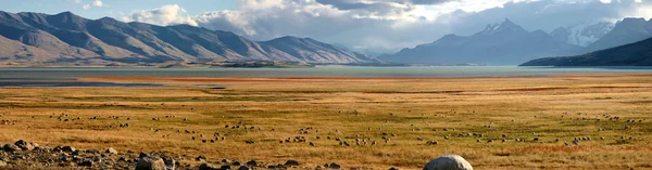 Landskap i Patagonien — Stockfoto