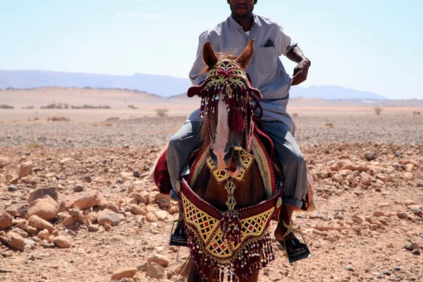 Cavaleiros marroquinos — Fotografia de Stock