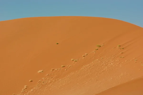 Deșertul Sossusvlei din Namibia — Fotografie, imagine de stoc