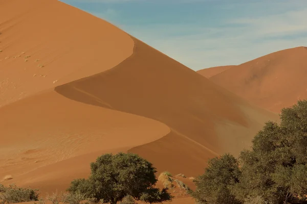 Пустеля Sossusvlei в Намібії — стокове фото