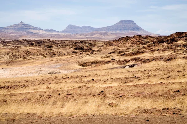 ナミビアの荒野 — ストック写真
