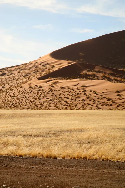 Sossusvlei tepeleri — Stok fotoğraf