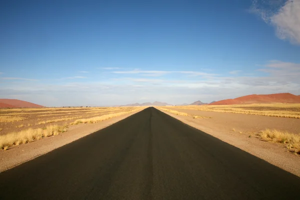 Vägen i namibia — Stockfoto